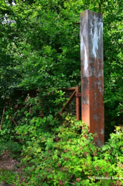 Overgrown Rusty Gate