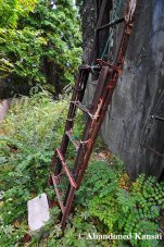 Rusty Ladder To The Roof