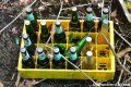 Abandoned Löwenbräu Bottles