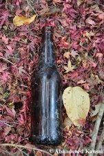 Old Abandoned Japanese Beer Bottle
