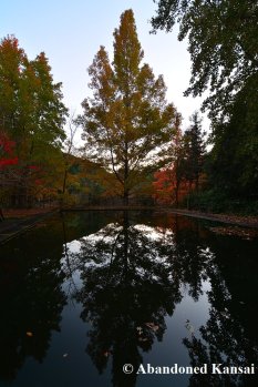 deserted-pool-in-autumn