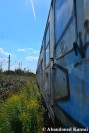 Abandoned German Train