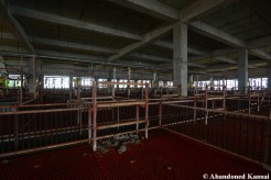 Abandoned Japanese Pig Farm
