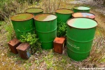 Abandoned Oil Barrels