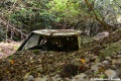 Abandoned Quarry Car
