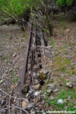 Abandoned Chain Conveyor